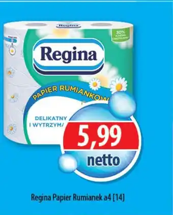 DUO-TES Regina Papier Rumianek a4 oferta