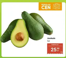 Dino Pomidor cherry oferta