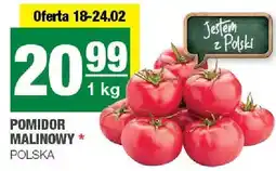 Spar Piwo Warka Jasne oferta