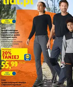 Lidl Crivit Spodnie trekkingowe damskie z odpinanymi nogawkami lub spodnie trekkingowe męskie oferta