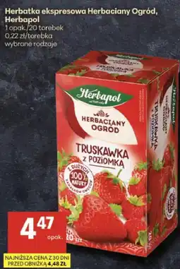 Delikatesy Centrum Herbatka ekspresowa Herbaciany Ogród Herbapol oferta