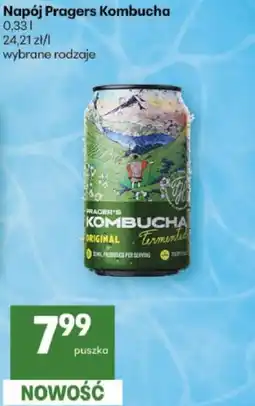 Delikatesy Centrum Napój Pragers Kombucha oferta
