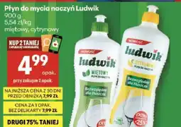 Delikatesy Centrum Płyn do mycia naczyń Ludwik oferta