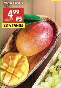 Delikatesy Centrum Mango dojrzałe 1 szt oferta