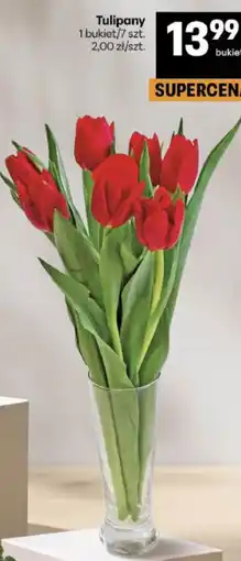 Delikatesy Centrum Tulipany oferta