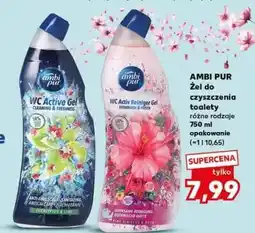 Kaufland Żel do wc wild sage & cedar Ambi Pur oferta