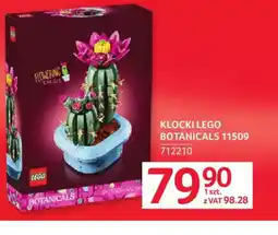 Selgros LEGO Klocki Botanicals 11509 oferta