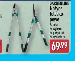 ALDI GARDENLINE Nożyce teleskopowe oferta