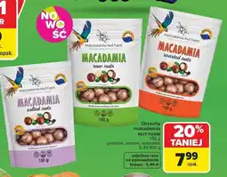 Carrefour Orzechy makadamia w łupinie naturalne Macadamia Nut Farm oferta