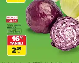 Carrefour Kapusta czerwona polska oferta