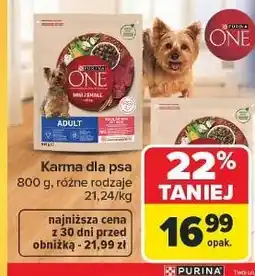 Carrefour Karma dla psa mini/small oferta