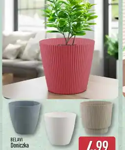 ALDI Belavi Doniczka oferta