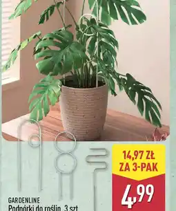 ALDI Gardenline podpórki do roślin oferta