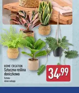 ALDI Home Creation Sztuczna roślina doniczkowa oferta
