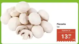 Dino Pieczarka luz oferta