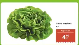 Dino Sałata masłowa szt oferta