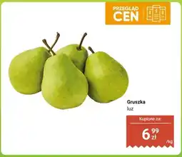 Dino Truskawka oferta