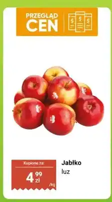 Dino Jabłko luz oferta