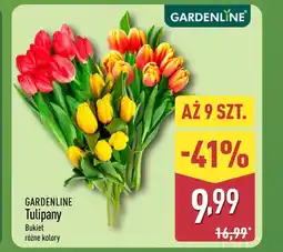 ALDI Bukiet tulipanów Gardenline oferta