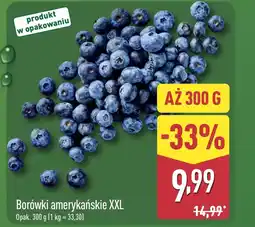 ALDI Borówki amerykańskie oferta