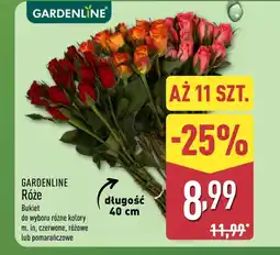 ALDI Bukiet róż Gardenline oferta