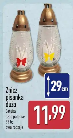 ALDI Znicz oferta