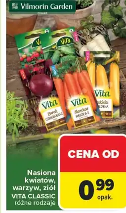 Carrefour Nasiona warzyw Vita oferta
