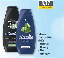 DUO-TES Schauma Szampon oferta