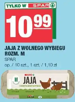 Spar Jaja z wolnego wybiegu rozm. M oferta