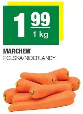 Spar Marchew oferta