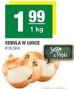 Spar Cebula w łusce oferta