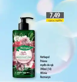 DUO-TES Herbapol Polana mydło do rąk Wiśnia Rozmaryn oferta