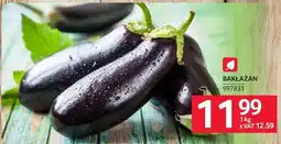 Selgros Ogórek długi oferta