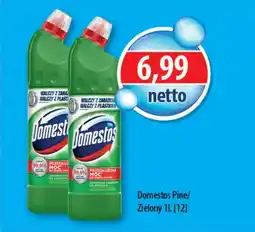 DUO-TES Domestos pine/ zielony oferta