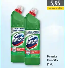 DUO-TES Domestos Pine oferta
