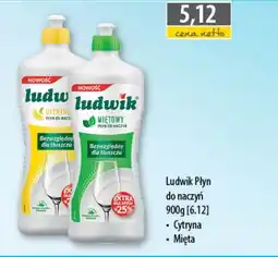 DUO-TES Ludwik Płyn do naczyń oferta