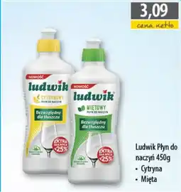 DUO-TES Ludwik Płyn do naczyń oferta