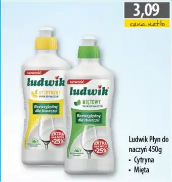 DUO-TES Ludwik Płyn do naczyń oferta