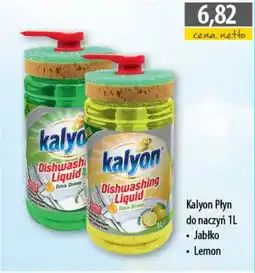 DUO-TES Kalyon Płyn do naczyń oferta