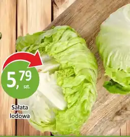 Passa Sałata lodowa oferta