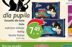 Passa Saszetki dla kota Felix oferta