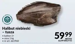 Makro Halibut niebieski - tusza oferta