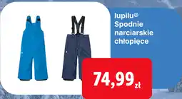 Lidl lupilu Spodnie narciarskie chłopięce oferta