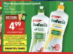 Delikatesy Centrum Płyn do naczyń Ludwik oferta