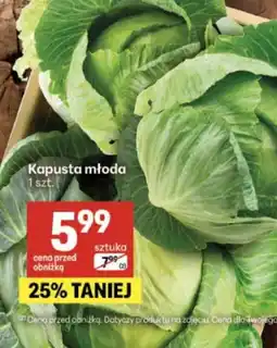 Delikatesy Centrum Kapusta młoda S! oferta