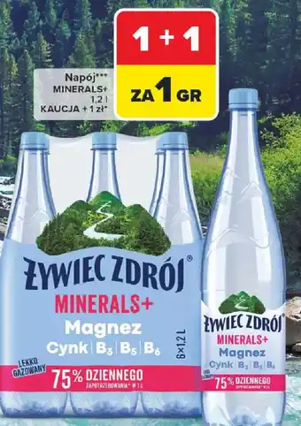 Carrefour Zywiec Zdrój Minerals+ oferta