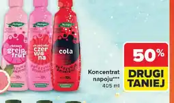 Carrefour Hortex Koncentrat napoju oferta