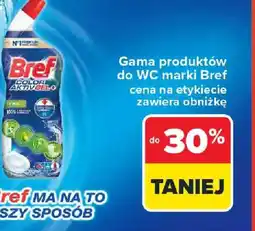 Carrefour Bref produkty do WC oferta