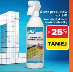 Carrefour HG Srodek do usuwania pleśni oferta