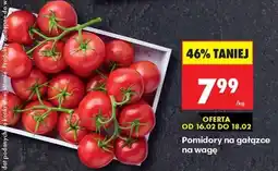 Biedronka POMIDORY NA GAŁĄZCE NA WAGĘ oferta